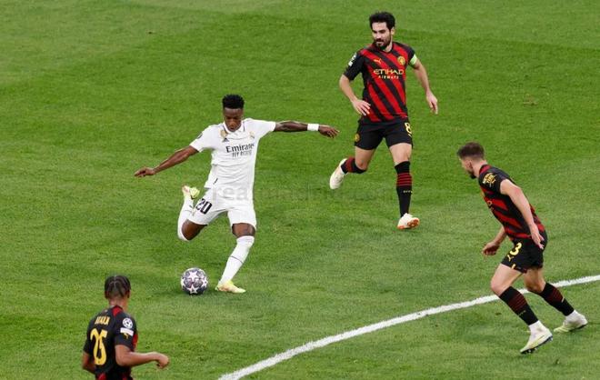 世界泳坛长 世界泳坛长