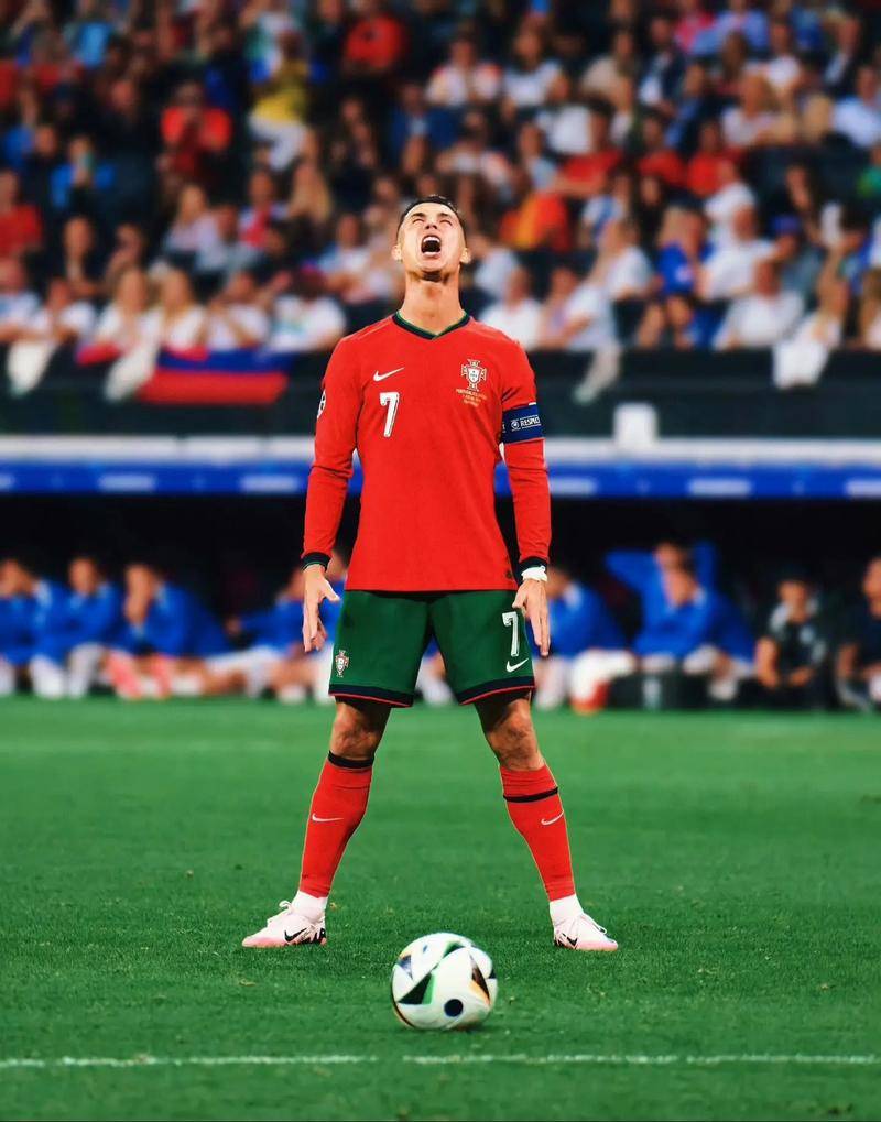 投入其中的 投入其中的